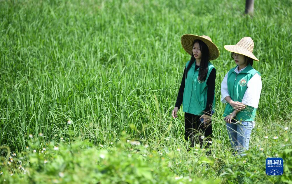 冠军论坛白菜大全